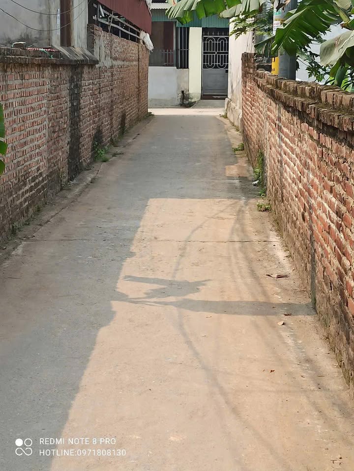 Đất nền Tự Nhiên, Thường Tín 85m² giá 3.786 tỷ - Đường ô tô vào tận nơi!