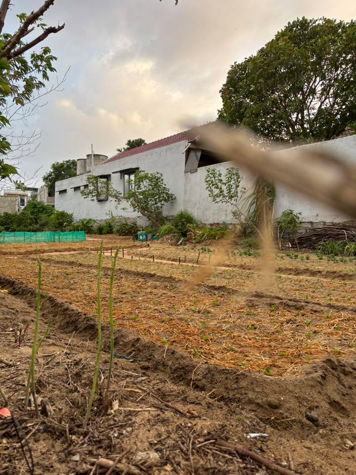 Đất nền Bình Kiến Tuy Hòa 218m² giá 3.5 tỷ - Hướng Tây Bắc, ô tô vào tận nơi!