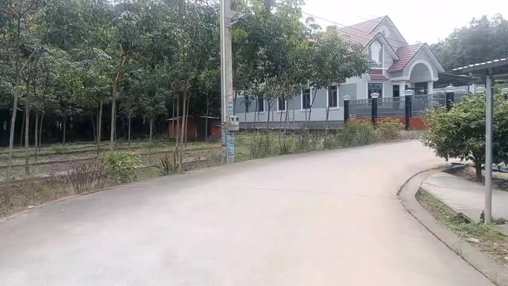 Đất nền Tân Bình Phú Giáo 77m² giá 900 triệu - Mặt tiền bê tông, dễ dàng kinh doanh!