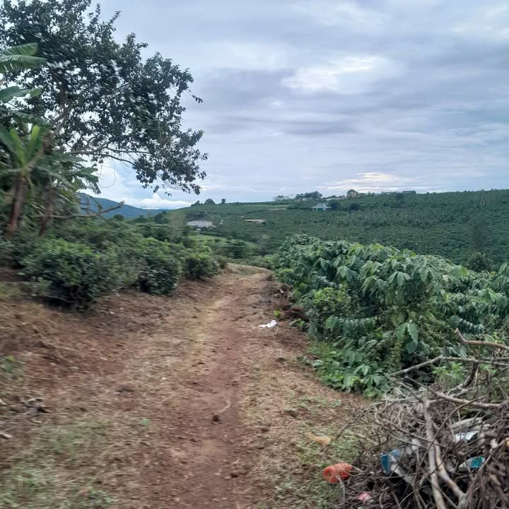 Đất nền 2 sào 6m² tại Lộc Ngãi, Bảo Lâm - Giá chỉ 1.15 tỷ - Pháp lý rõ ràng!