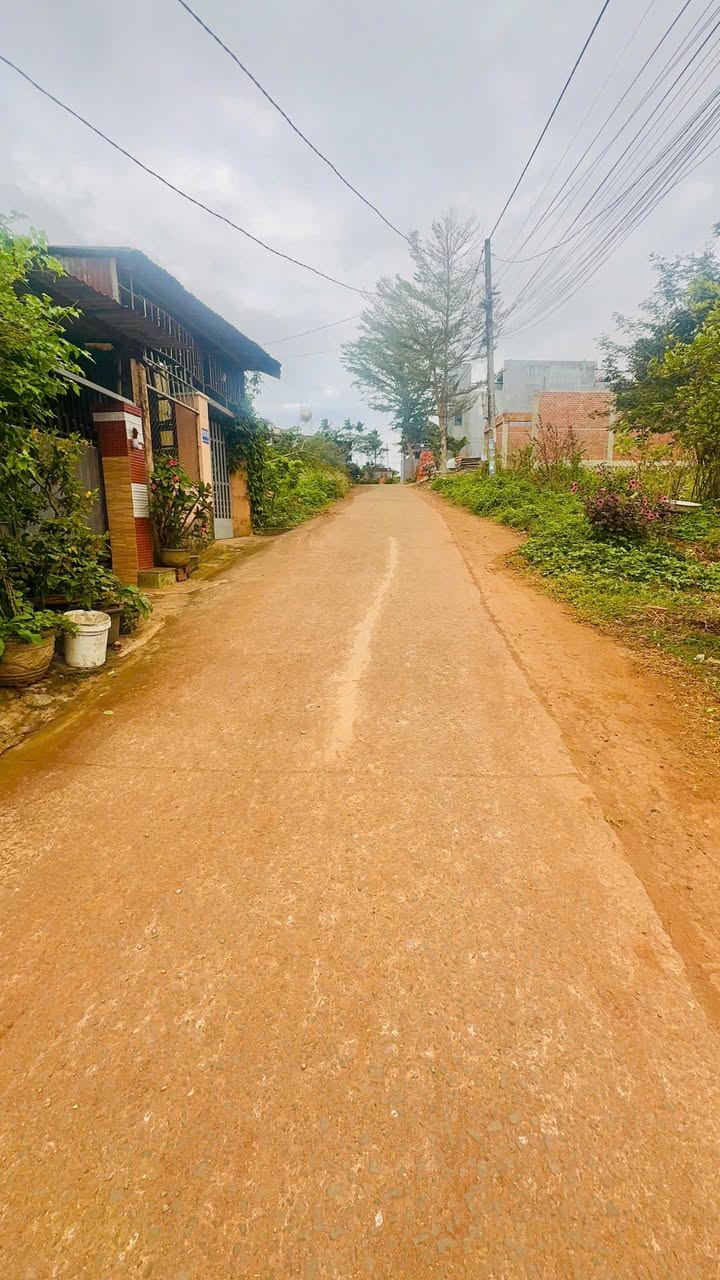 Đất Hẻm 92 Nguyễn Xuân Nguyên, Tân An, 272.8m² giá 3.3 tỷ - Hướng Tây Bắc, đầu tư sinh lời!