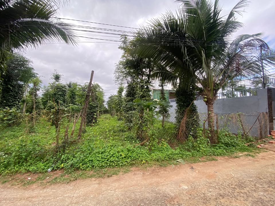 Đất thổ cư Phường Tân An Mới, Gia Lai 200m² giá 1.25 tỷ - Vị trí đắc địa gần chợ đầu mối!