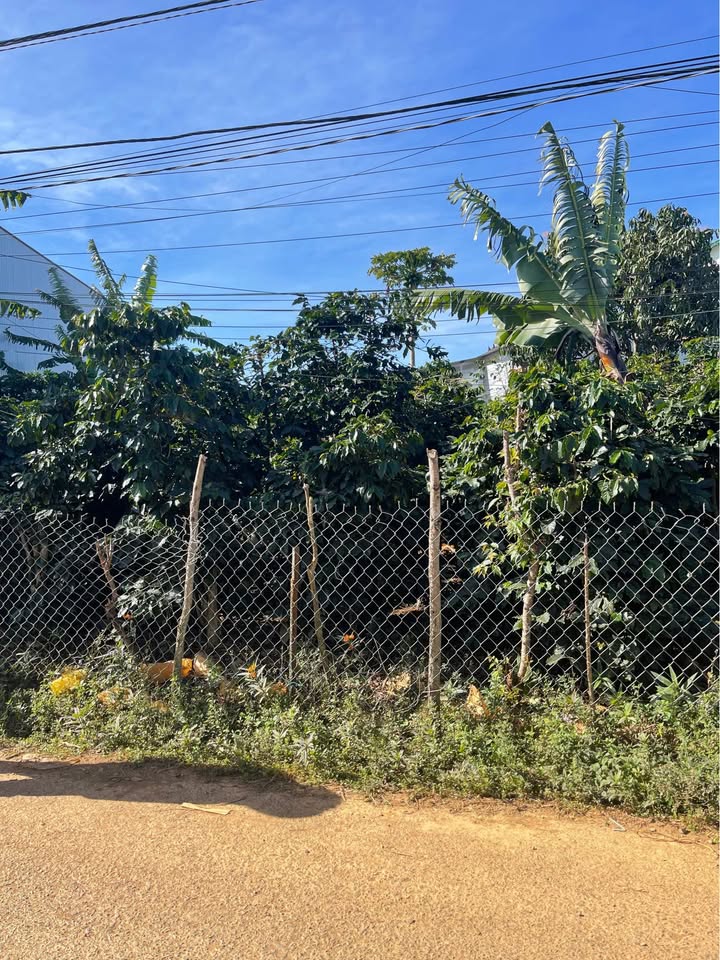 Đất nền TDP Đan Kia, Đà Lạt 192m² giá chỉ 1.2 tỷ - Cơ hội đầu tư hấp dẫn!