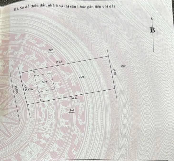 Đất Ninh Hòa Yên Trị 504m² giá 700 triệu - Đất có bưởi đang thu hoạch!