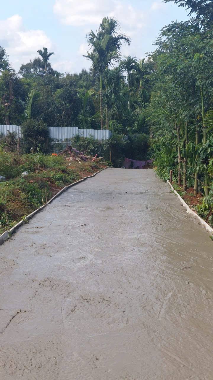 Đất nền thổ cư 200m² tại Ea Tiêu - Bán gấp chỉ 495 triệu/lô!