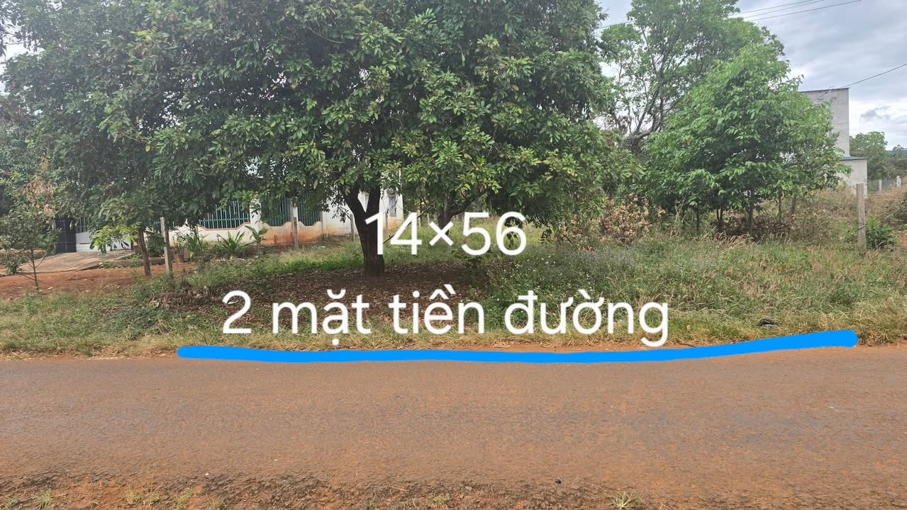 Đất nền 784m² tại xã Ia Krai, giá chỉ 420 triệu - Cơ hội đầu tư tuyệt vời!