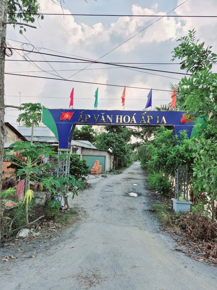 Đất thổ cư 203m² tại Ấp 1A, Đức Hòa chỉ 820 triệu - Cơ hội đầu tư tốt!