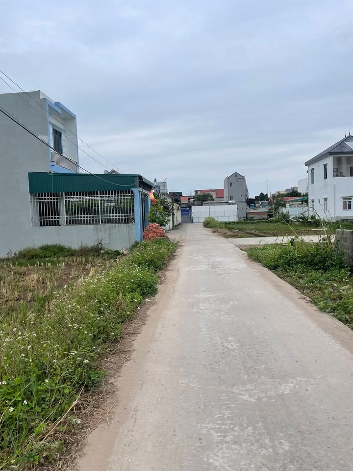 Đất nền Tiền Hải Thái Bình 110m² giá 1.9 tỷ - Cơ hội đầu tư hấp dẫn!