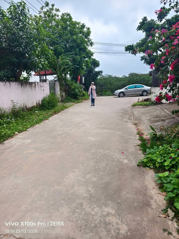 Farm đất vườn 7000m² tại Kiên Thành, Chũ - Sẵn sàng vào ở ngay!