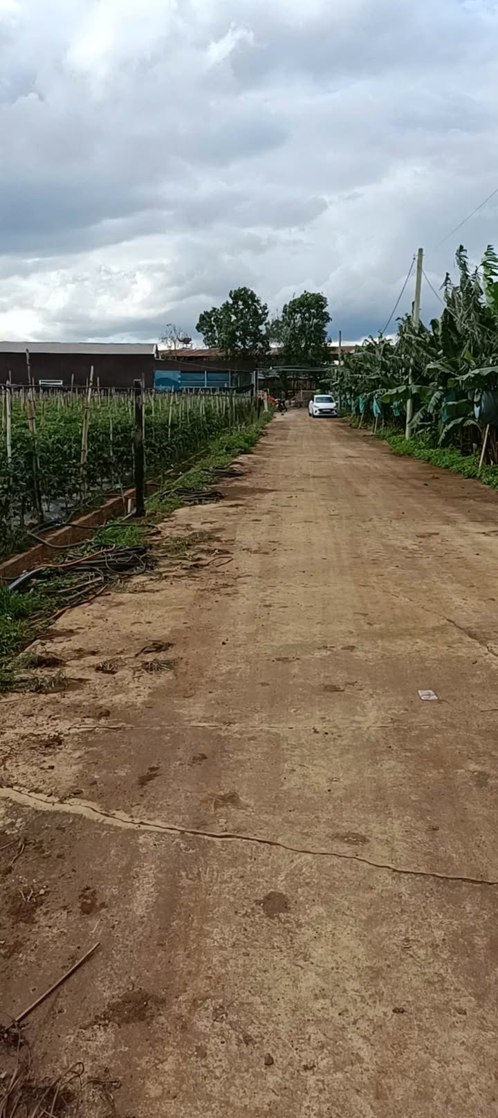 Đất nền Phú Hội, Đức Trọng 150m² giá 600 triệu - Cơ hội đầu tư tuyệt vời!