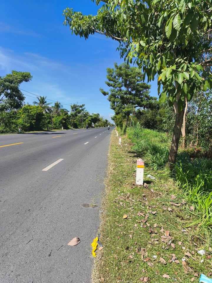 Đất nền mặt tiền Quốc Lộ 53, Vĩnh Kim, Cầu Ngang, 250m² - Giá chỉ 1.2 tỷ!