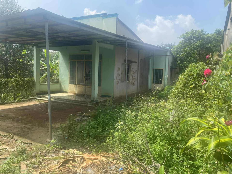 Đất Hưng Lộc 500m² giá 1.05 tỷ - Sổ đỏ chính chủ, vị trí đẹp!