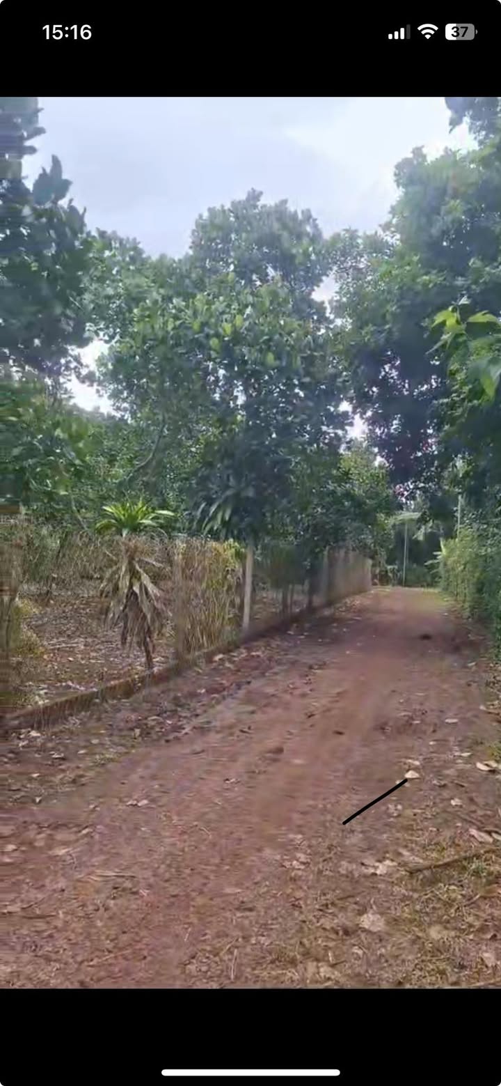 Đất nền Bảo Vinh Long Khánh 8200m² giá 6.56 tỷ - Nơi an yên giữa cuộc sống ồn ào!