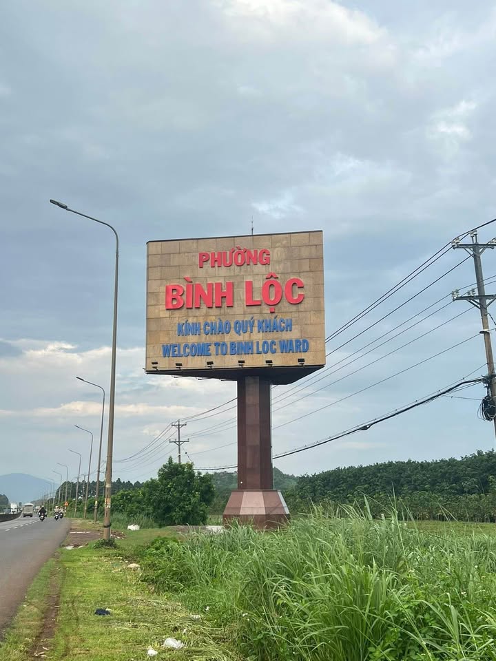 Đất nền đường Số 25, phường Bình Lộc, 100m² giá 1.95 tỷ - Tiềm năng kinh doanh lớn!