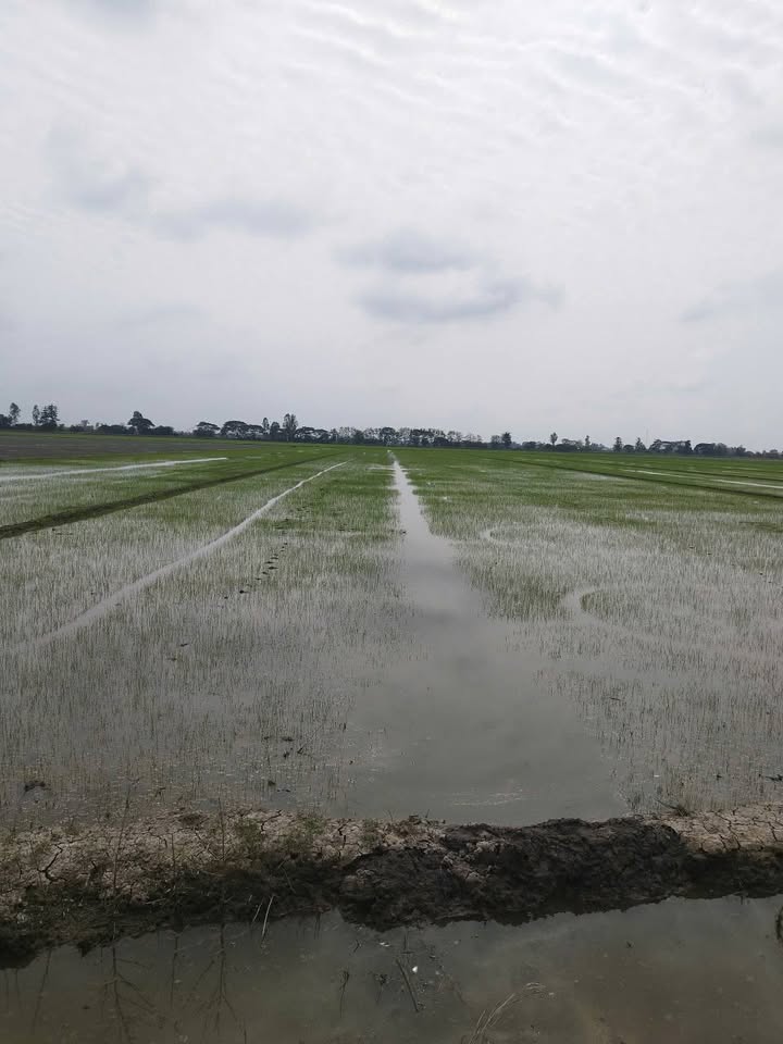 Đất nông nghiệp 10 công Phú Thuận Thoại Sơn 2.1 tỷ - Vị trí đẹp, giao thông thuận tiện!