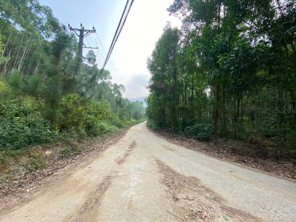 Đất nền Ngọc Thanh, Phúc Yên 1700m² giá 3.6 tỷ - Sổ đỏ chính chủ, vị trí đắc địa!