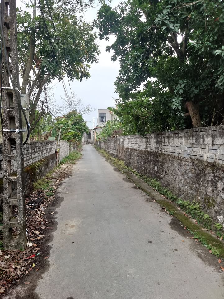 Đất nền Quán Lào, Yên Định 315m² - Cơ hội đầu tư không thể bỏ lỡ!