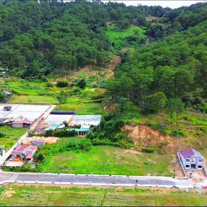 Đất nền Hiệp An, Đức Trọng 871m² giá 6.093 tỷ - Sổ đỏ chính chủ, quy hoạch full thổ cư!