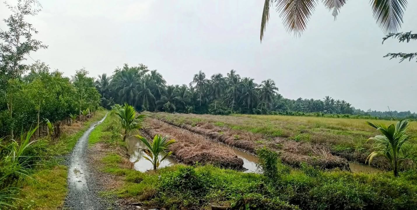 Đất nền Hiếu Thành Vũng Liêm 1000m² chỉ 125 triệu - Cơ hội đầu tư lý tưởng!