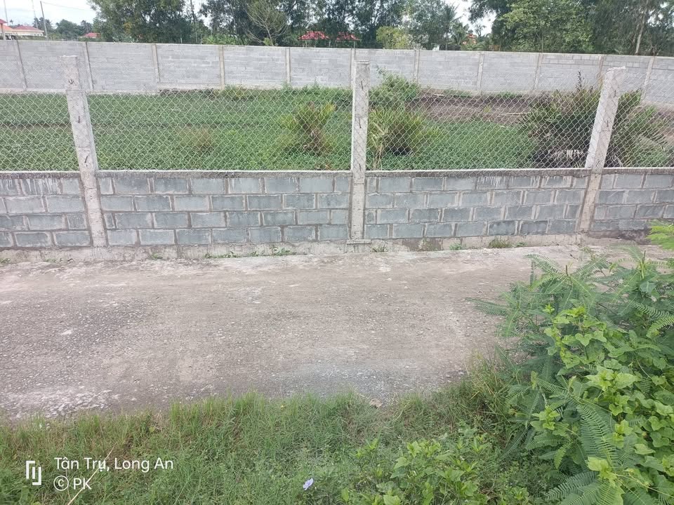 Đất vườn 800m² xã Vàm Cỏ giá 1.5 tỷ - Vị trí đắc địa, tiện ích đầy đủ!