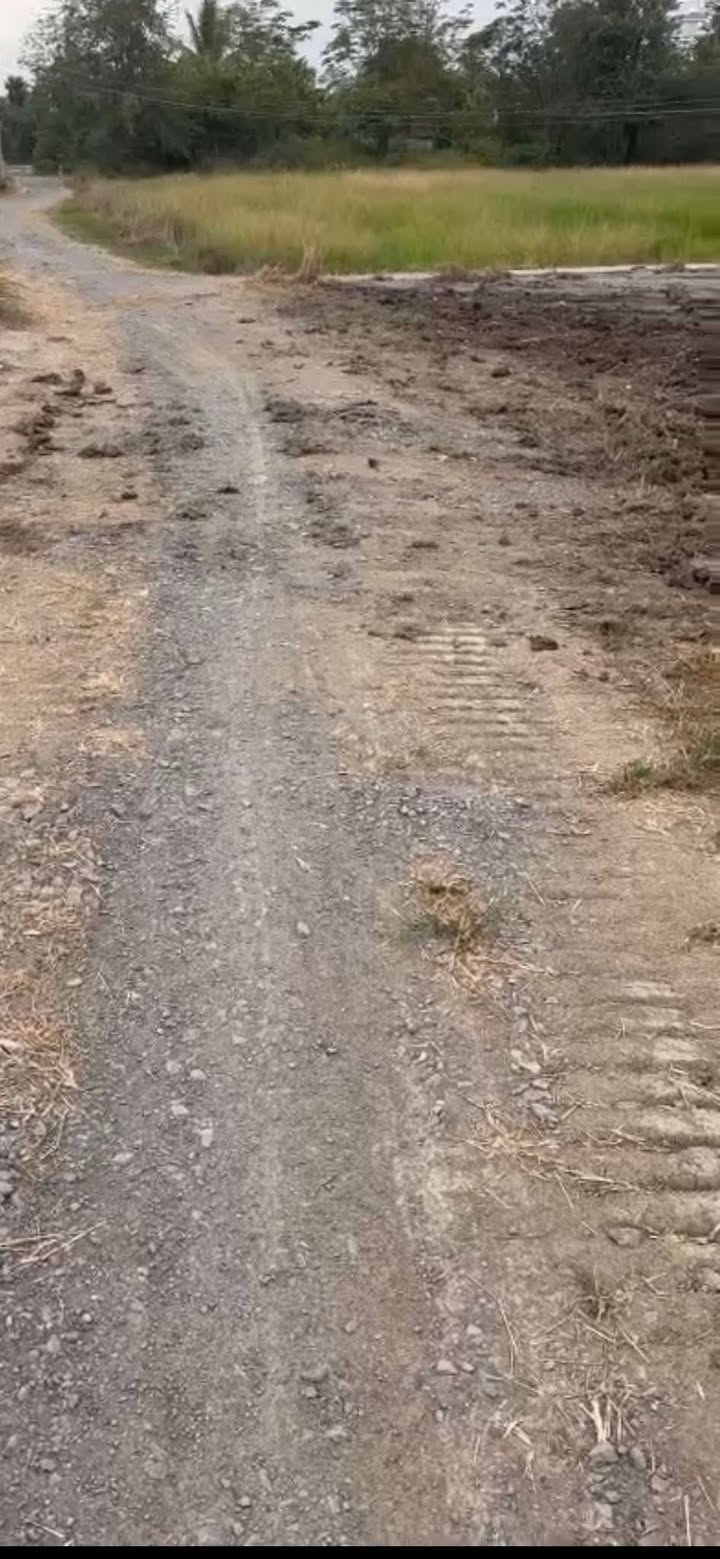 Đất nền góc 2 mặt tiền Tân Lân, 180m² giá 650 triệu - Cơ hội đầu tư hấp dẫn!