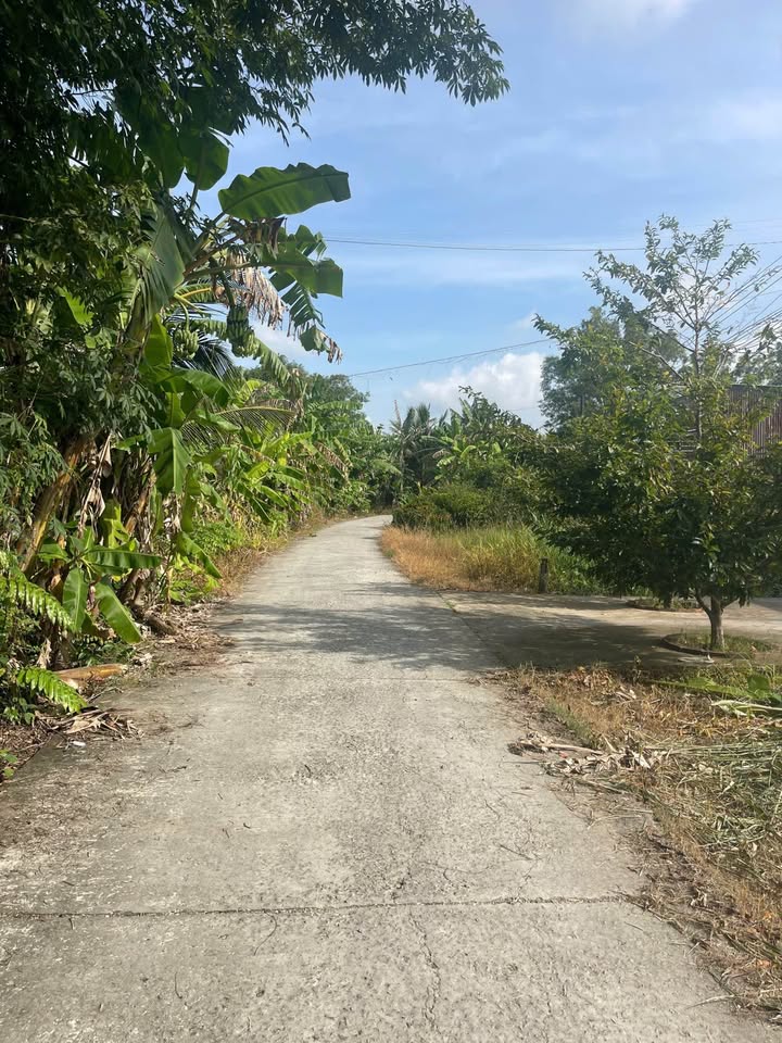 Đất thổ cư Lung Dừa, phường Lý Văn Lâm 185m² giá 600 triệu - Tiềm năng đầu tư cao!