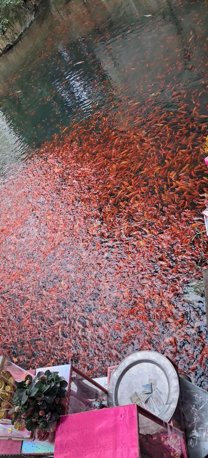 Bán nhà Phúc Hòa 47m² giá 2.5 tỷ - Đường thông ô tô đỗ cửa