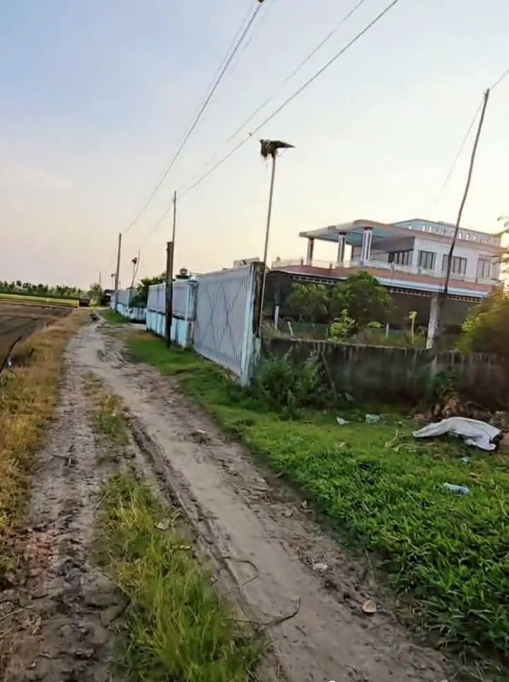 Đất thổ cư 52m² tại ấp Rừng Sến, Đức Hòa chỉ 570 triệu - Gấp rút cần bán!