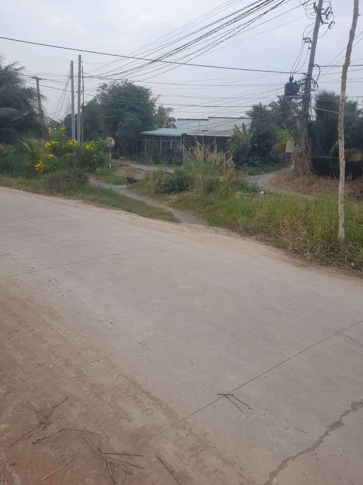 Đất Hòa Khánh Đức Hòa 150m² giá 1.4 tỷ - Nền cao ngay ngã 5!