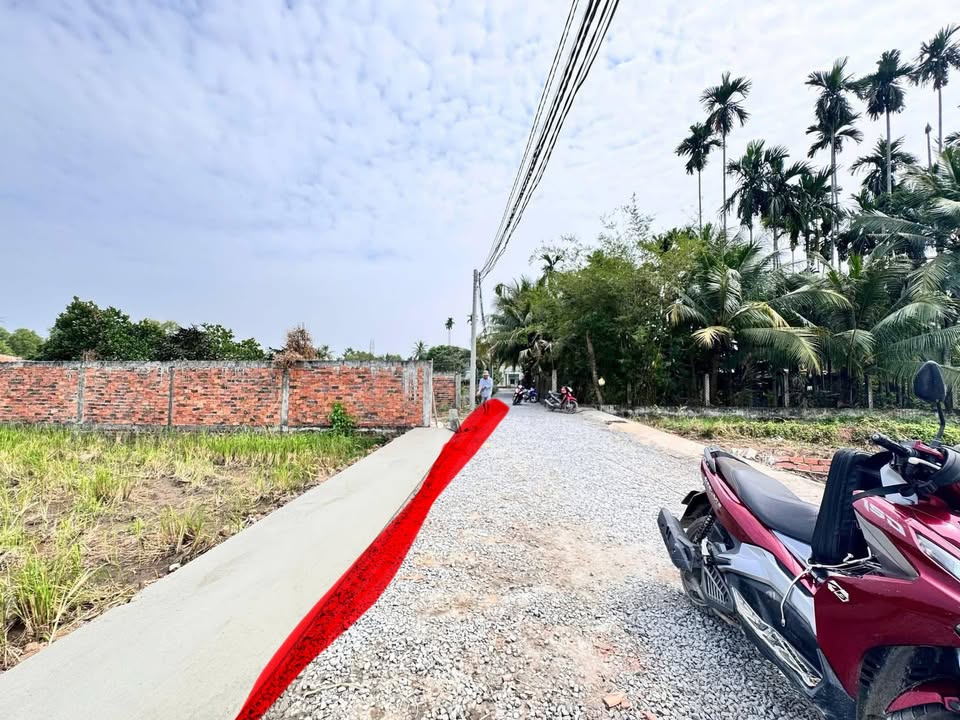 Đất thổ cư Hòa Khánh Đông, Đức Hòa 125m² giá 790 triệu - Sổ hồng riêng, đầu tư sinh lời!