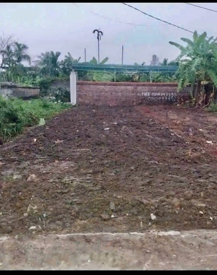 Đất nền Thôn 1 - Thiên Hương 100m² giá 2 tỷ - Đầu tư sinh lời ngay!