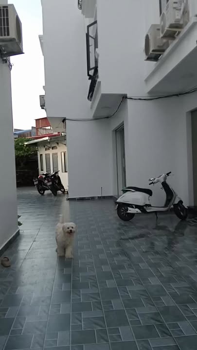 Nhà 3 tầng tại Văn Đẩu, Kiến An 40m² giá chỉ 2 tỷ - Nhà mới xây hiện đại!