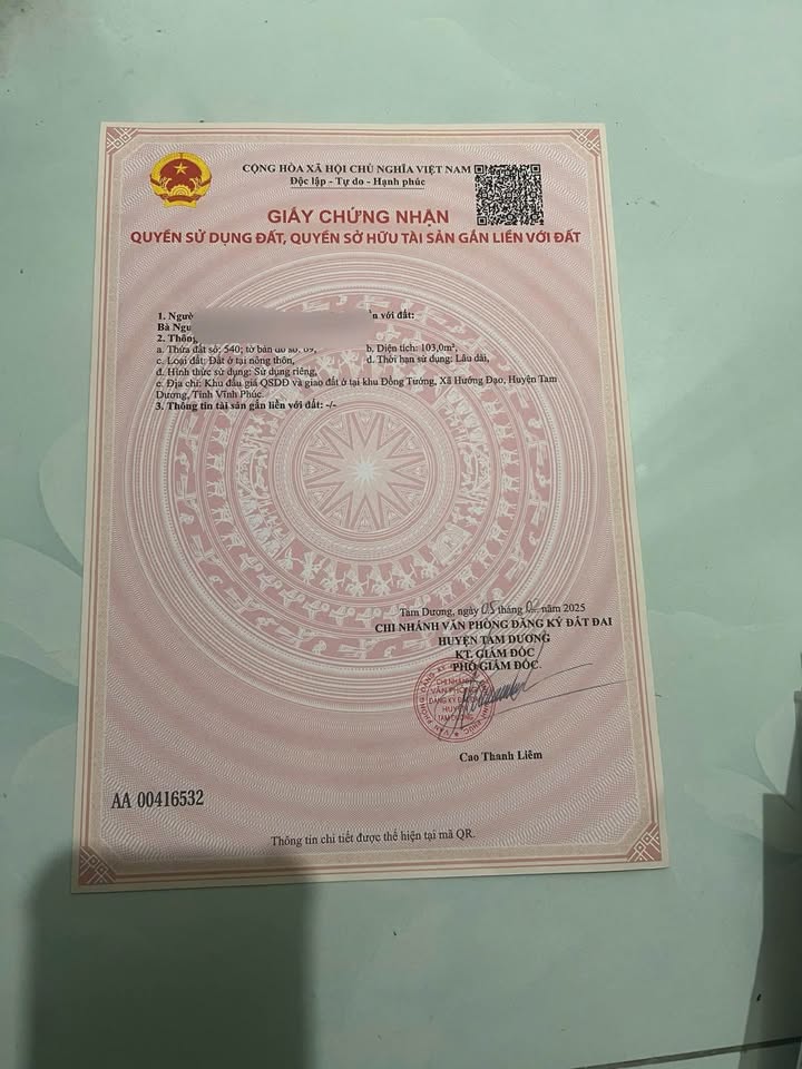 Đất nền Hướng Đạo, Tam Dương 100m² giá 1.9 tỷ - Cơ hội đầu tư không thể bỏ lỡ!