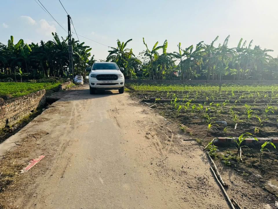 Lô đất 114m² Thôn Nhất Trai, Lương Tài, Bắc Ninh - Giá chỉ 2.05 tỷ, cơ hội đầu tư sinh lời!