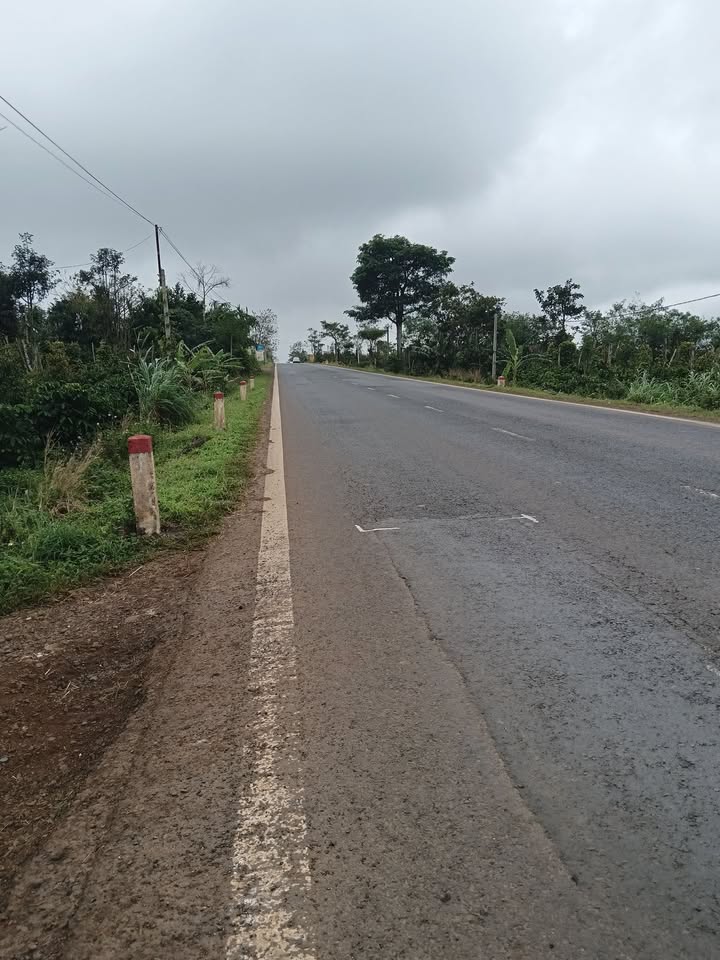 Đất nền 2800m² tại Quốc lộ 14, phường Cư Bao, giá 45 tỷ - Đầu tư sinh lời ngay!