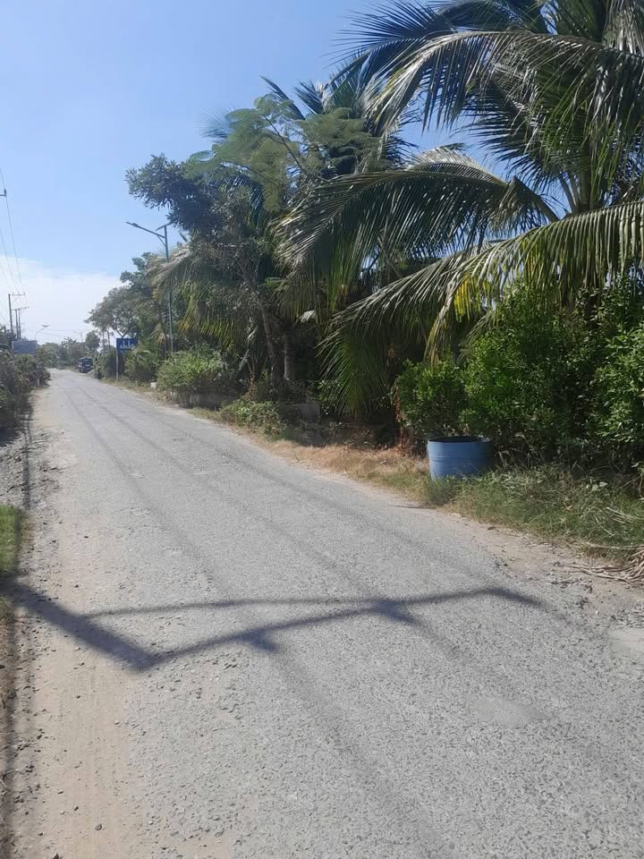 Đất nền thổ cư Vĩnh Nhuận An Giang 13.061m² giá 4.3 tỷ - Cơ hội đầu tư hấp dẫn!