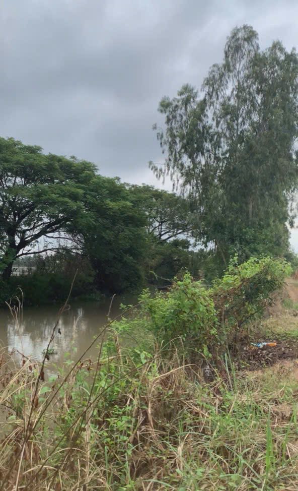 Đất lúa Mỹ Hoà Long Xuyên 3831m² chỉ 300 triệu - Cơ hội đầu tư tuyệt vời!