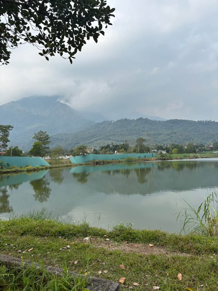 Đất nền Nhuận Trạch, Lương Sơn 1200m² - Giá thỏa thuận cực hấp dẫn!