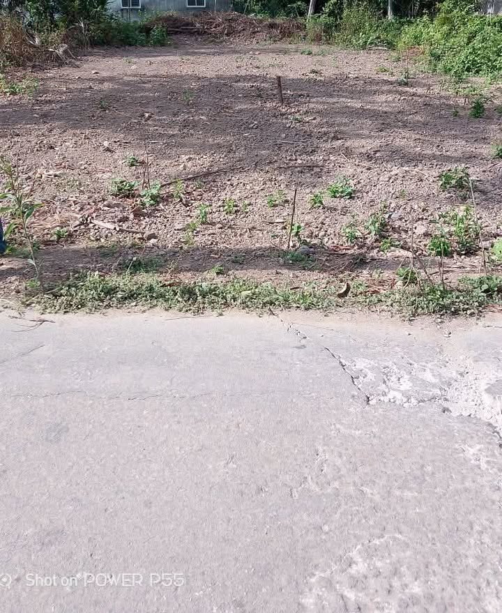 Đất nền mặt tiền lộ bê tông 270m² giá 380 triệu - Cơ hội đầu tư tuyệt vời!