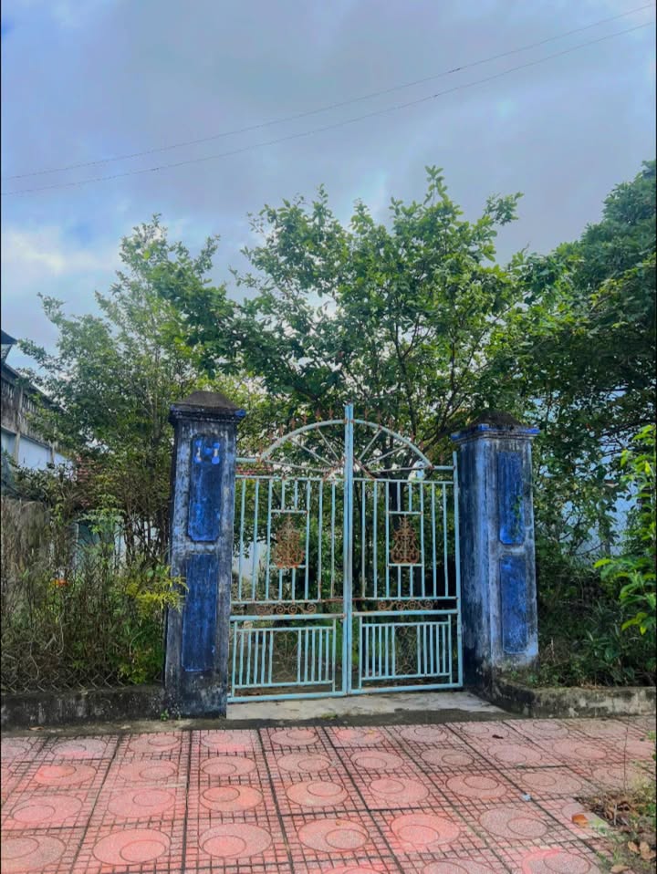 Đất nền Ninh Hiệp, Ninh Hòa 213.9m² giá 12.8 tỷ - Đầu tư sinh lời ngay!