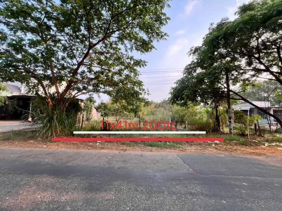 Mặt tiền kinh doanh Ấp Cây Xoài, Gò Dầu 451m² giá 2.3 tỷ - Đầu tư sinh lời ngay!