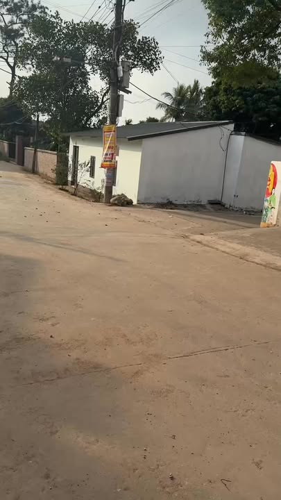 Đất nền Đào Mỹ, Lạng Giang 133m² giá 1.9 tỷ - Đón đầu cơ hội đầu tư!