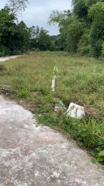 Đất thổ cư TDP Kép, Tự Lạn, 143m² - Đầu tư sinh lời ngay!