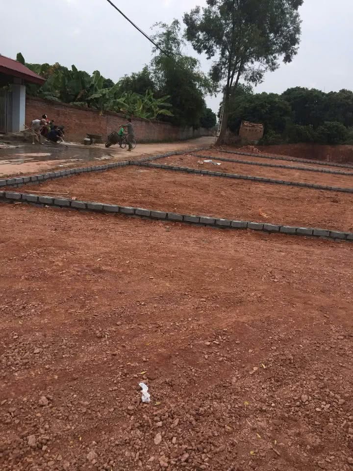 Đất nền Tân Thanh, Lạng Giang 300m² giá 800 triệu - Vị trí vàng tiềm năng tăng giá mạnh!