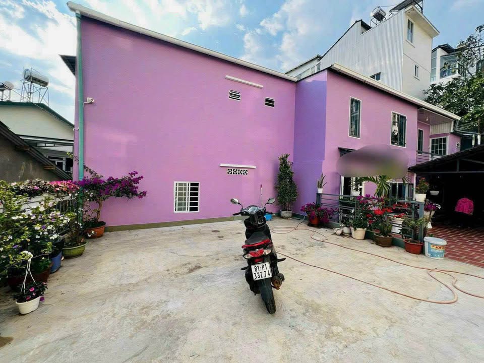 Cho thuê nhà gỗ sân vườn Đà Lạt 1000m² - Phù hợp với kinh doanh homestay, cafe!