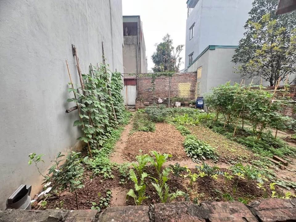 Đất nền Phúc Thành, Biên Giang 30m² giá đầu tư - Pháp lý rõ ràng!