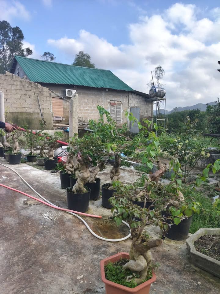 Đất nền Hương Vân, Hương Trà 136m² giá chỉ 300 triệu - Cơ hội đầu tư tuyệt vời!