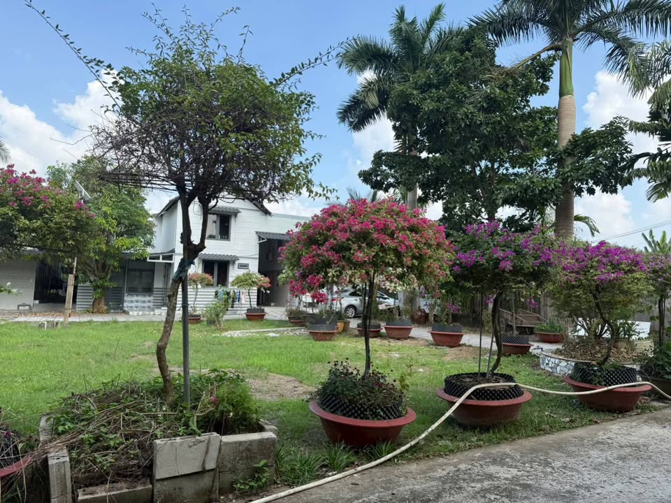 Phòng cho thuê đường Chí Sinh, Cần Thơ 30m² giá chỉ từ 1.5 triệu - View bờ kè mát mẻ