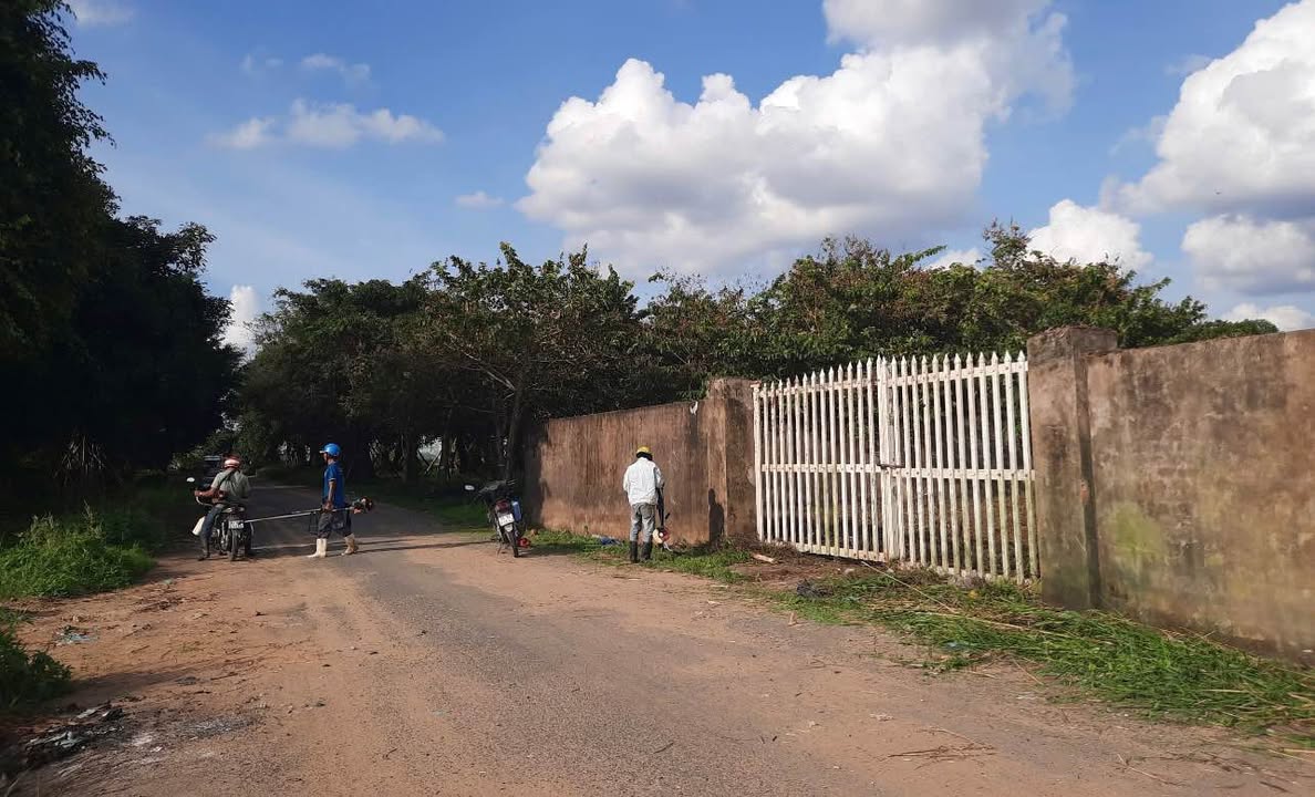 Đất thổ cư mặt tiền đường nhựa 8m Thanh Đức 3272m² giá 16.5 tỷ - Đầu tư sinh lời ngay!