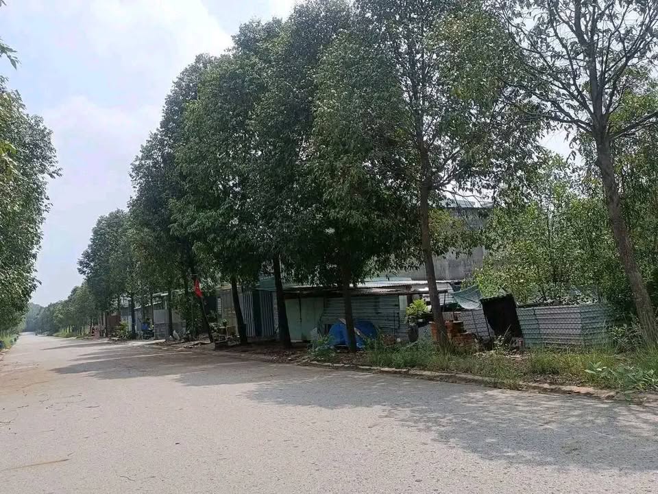 Đất thổ cư A28_N16 Thới Hòa 100m² giá 1.5 tỷ - Đầu tư sinh lời ngay!